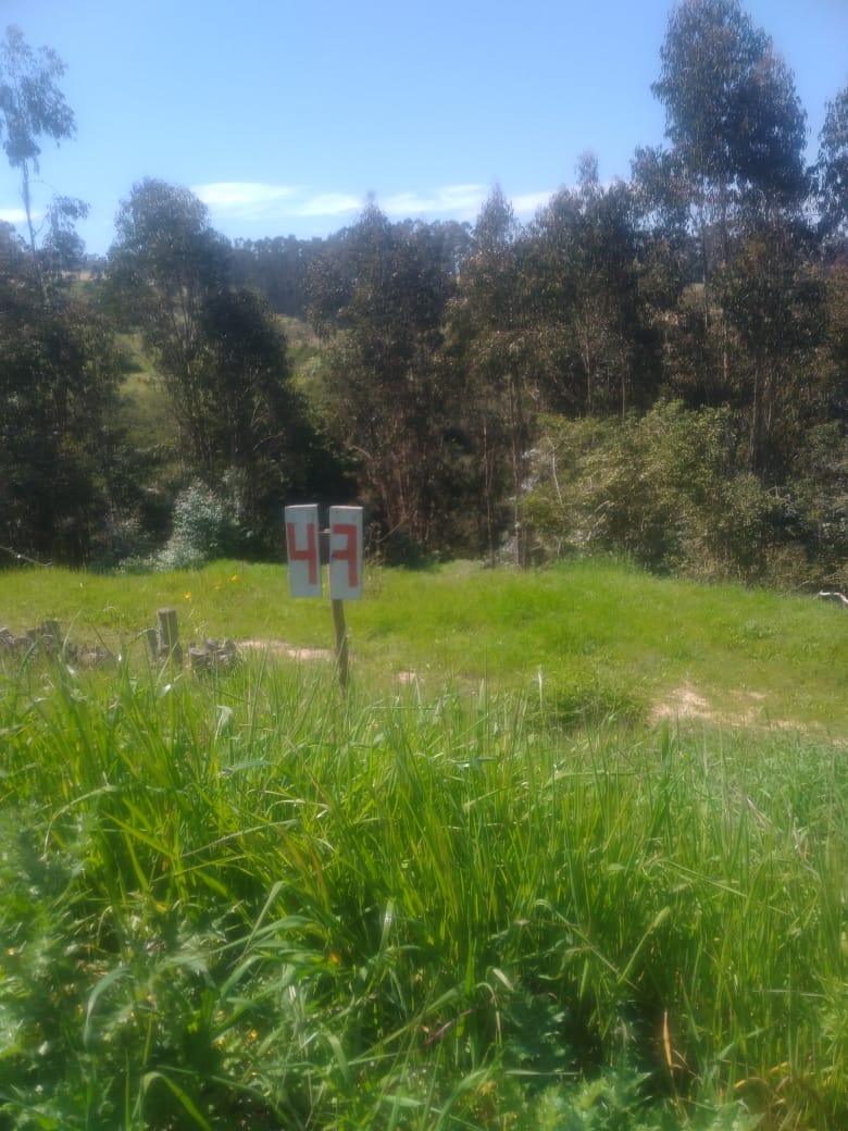 Terreno en venta Valle Hermoso San Sebastián, Litoral Central - foto 4
