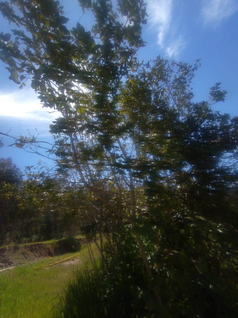 Terreno en venta Valle Hermoso San Sebastián, Litoral Central - foto 18