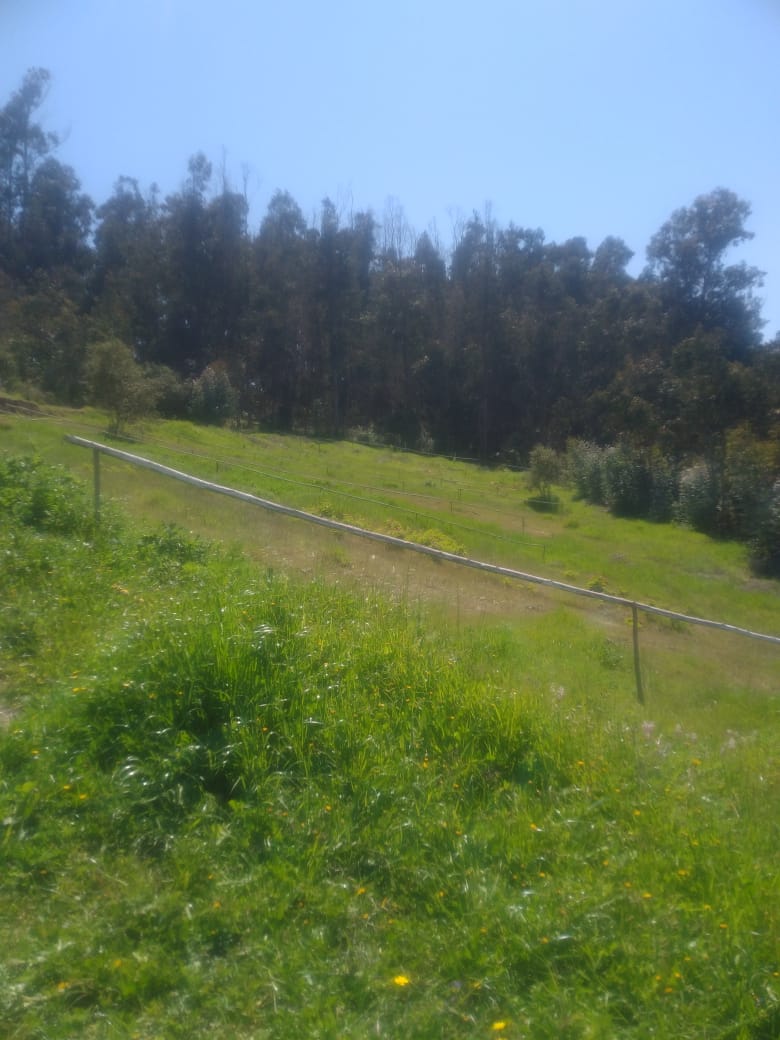 Terreno en venta Valle Hermoso San Sebastián, Litoral Central - foto 5