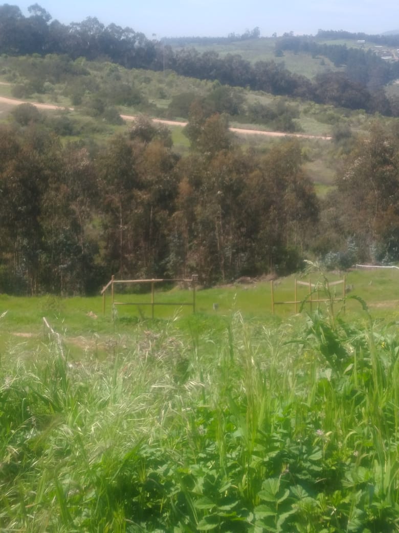 Terreno en venta Valle Hermoso San Sebastián, Litoral Central - foto 7