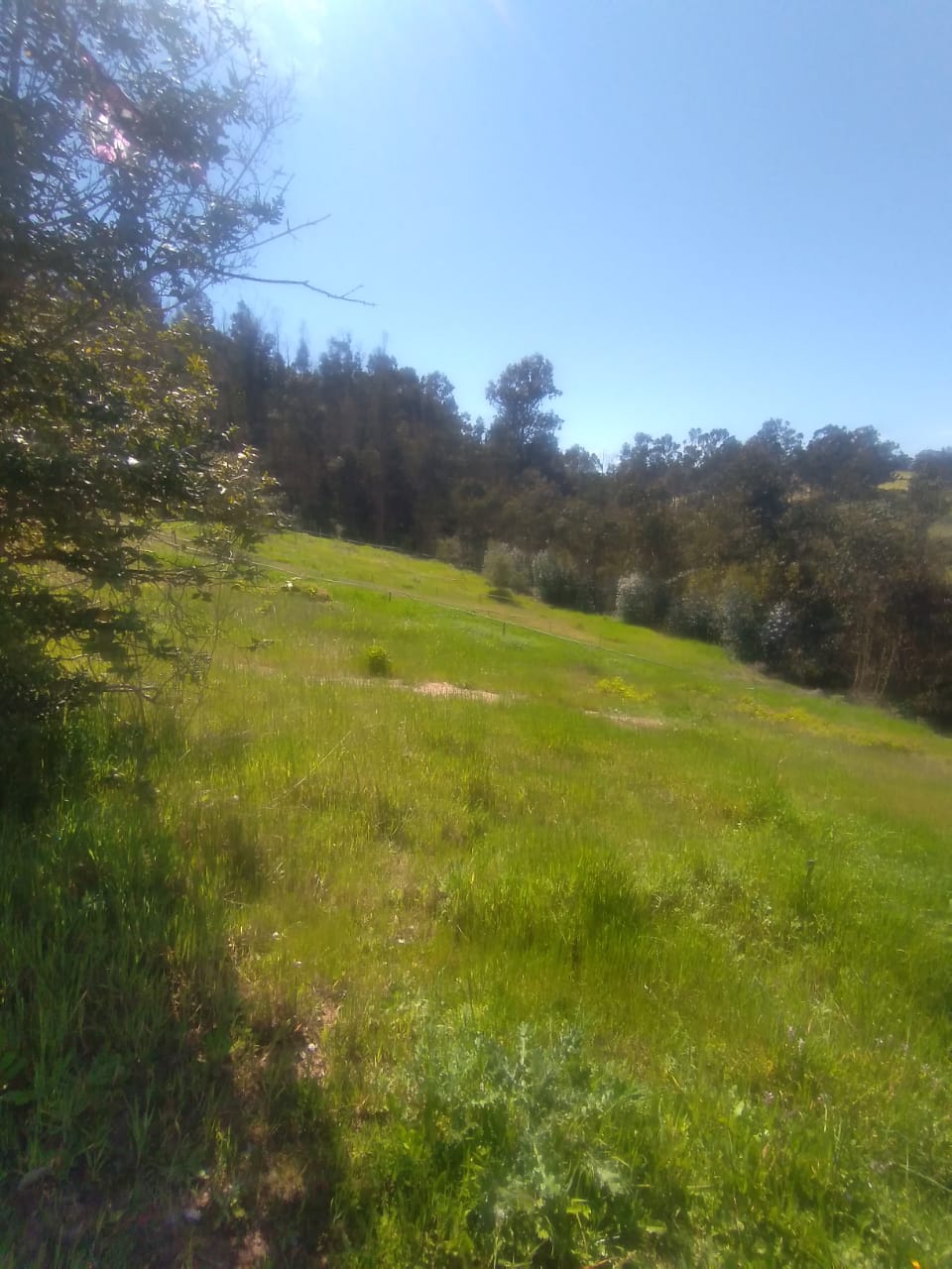 Terreno en venta Valle Hermoso San Sebastián, Litoral Central - foto 12