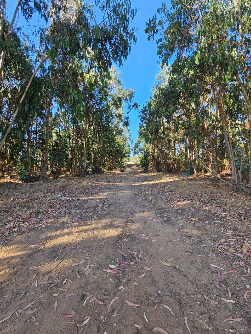 Terreno en venta Valle Hermoso San Sebastián, Litoral Central - foto 23