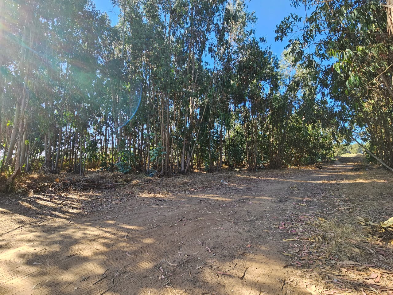 Terreno en venta Valle Hermoso San Sebastián, Litoral Central - foto 25