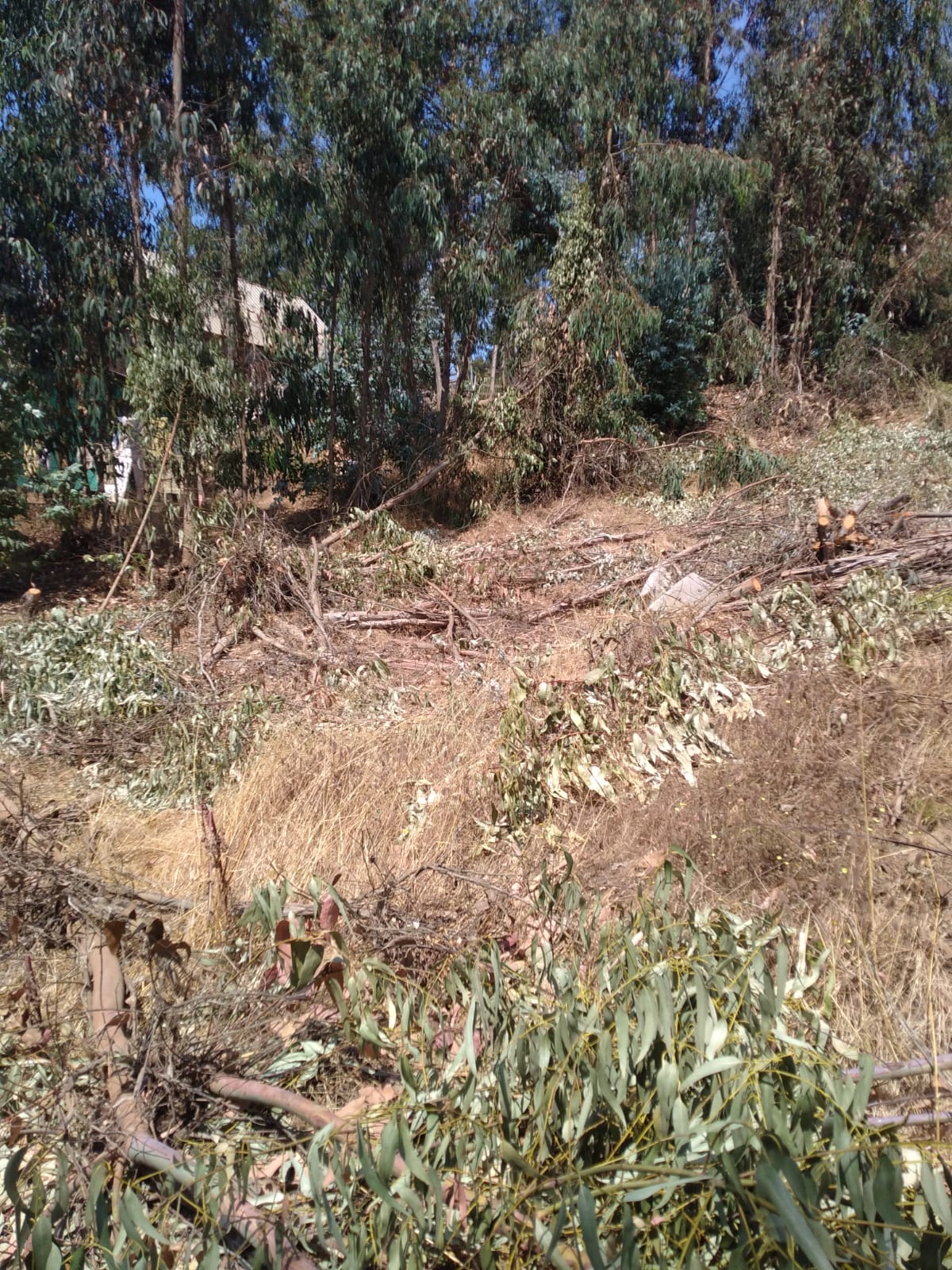 Terreno en venta Valle Hermoso San Sebastián, Litoral Central - foto 40
