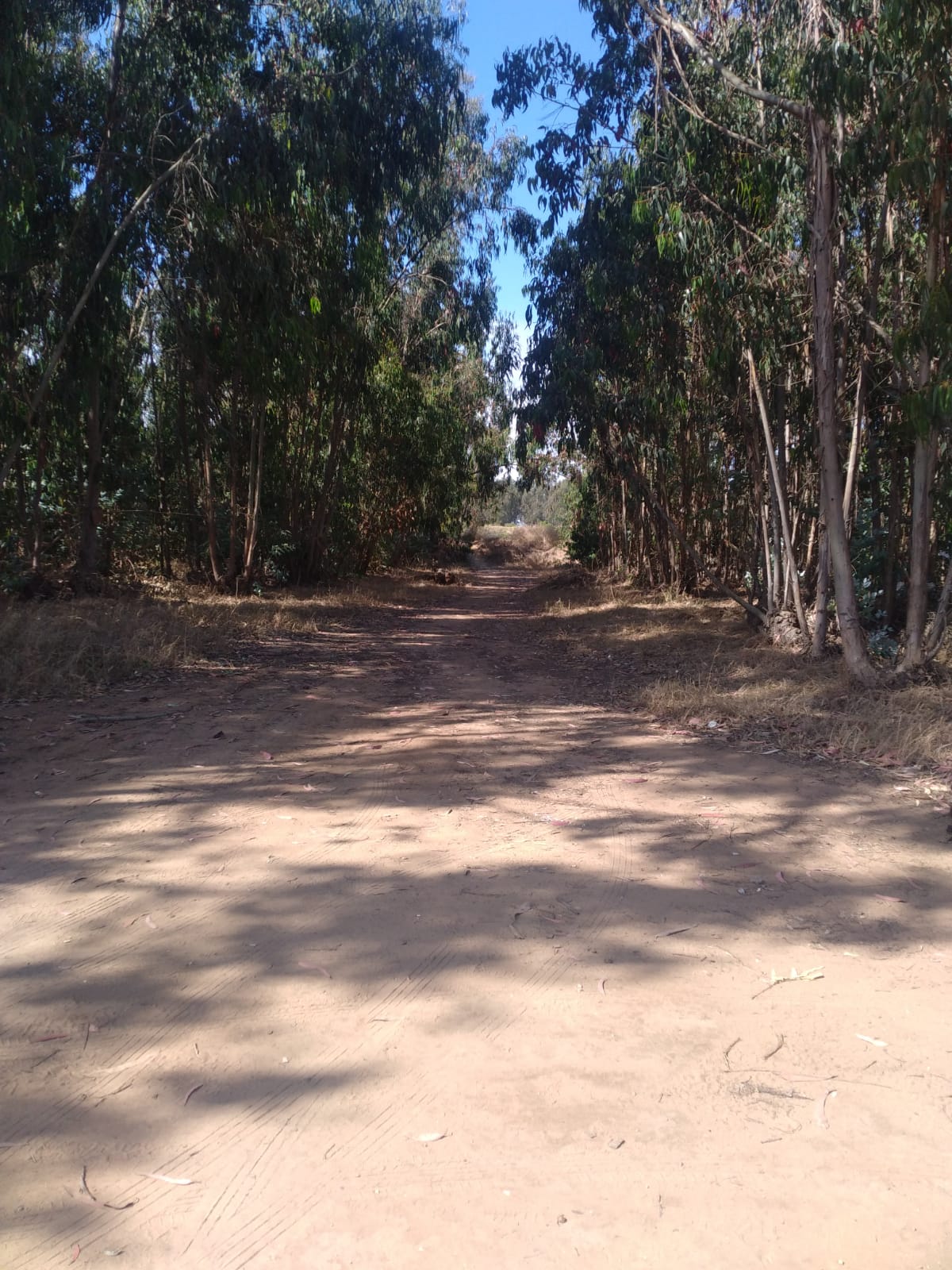 Terreno en venta Valle Hermoso San Sebastián, Litoral Central - foto 35