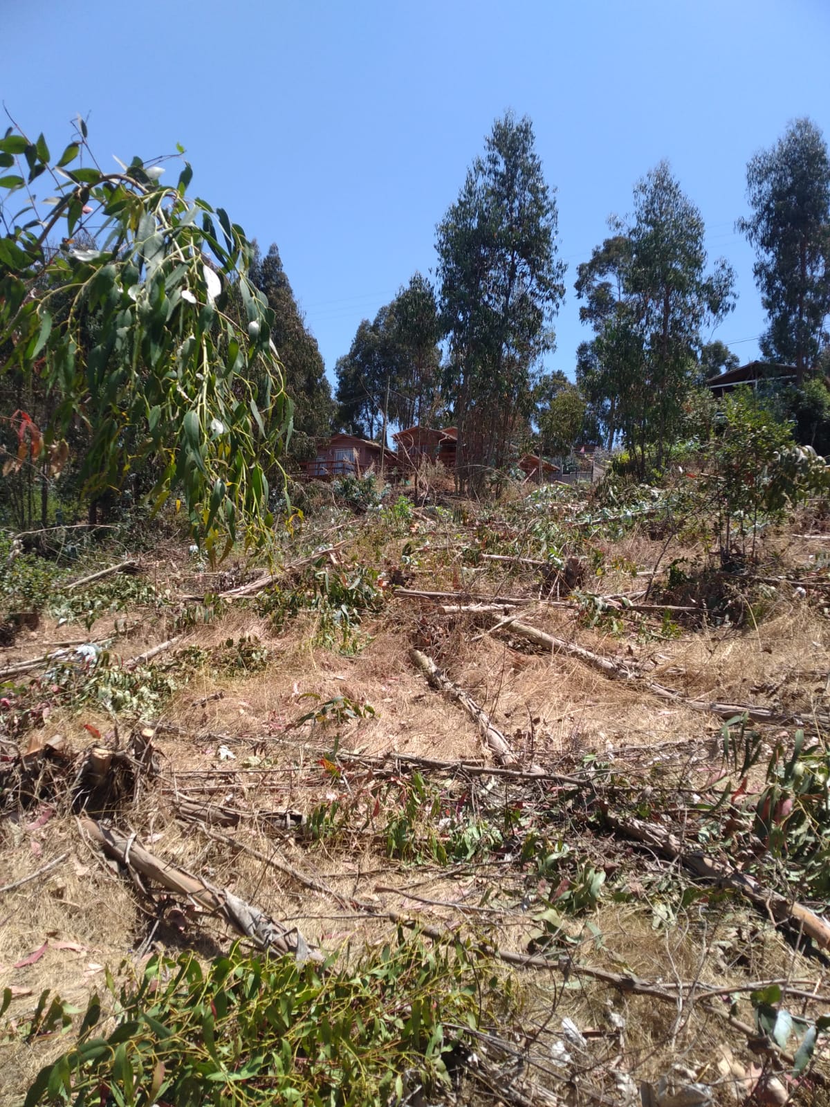 Terreno en venta Valle Hermoso San Sebastián, Litoral Central - foto 37
