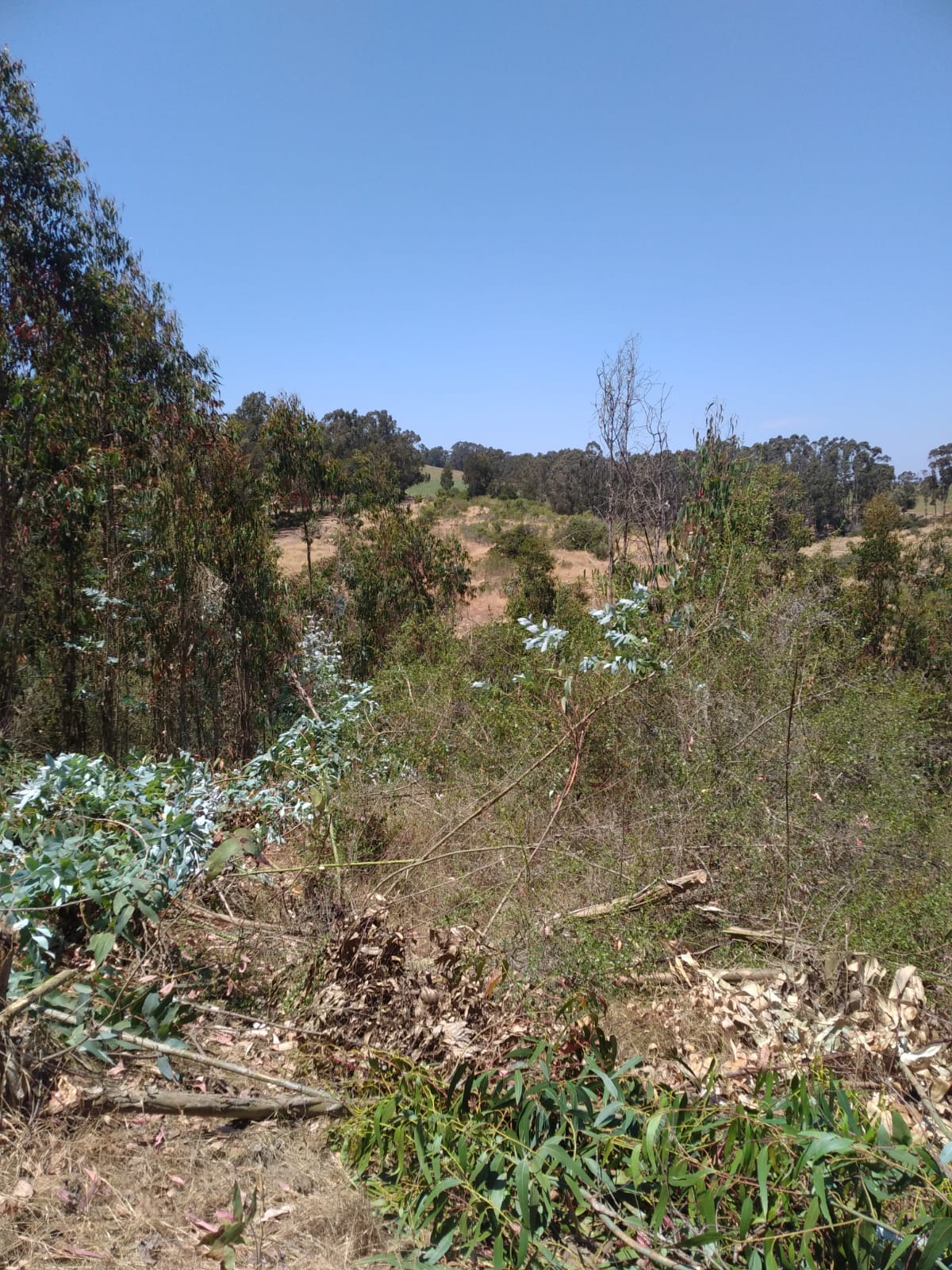 Terreno en venta Valle Hermoso San Sebastián, Litoral Central - foto 38