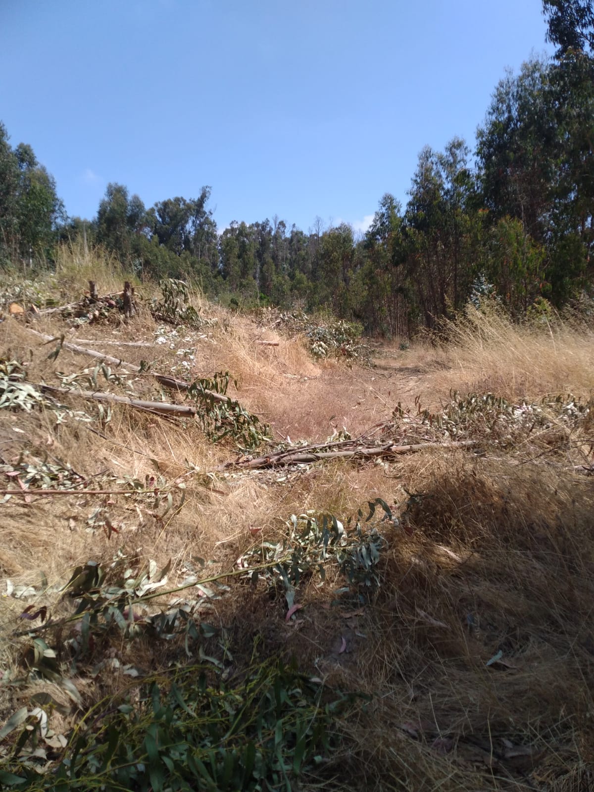 Terreno en venta Valle Hermoso San Sebastián, Litoral Central - foto 39
